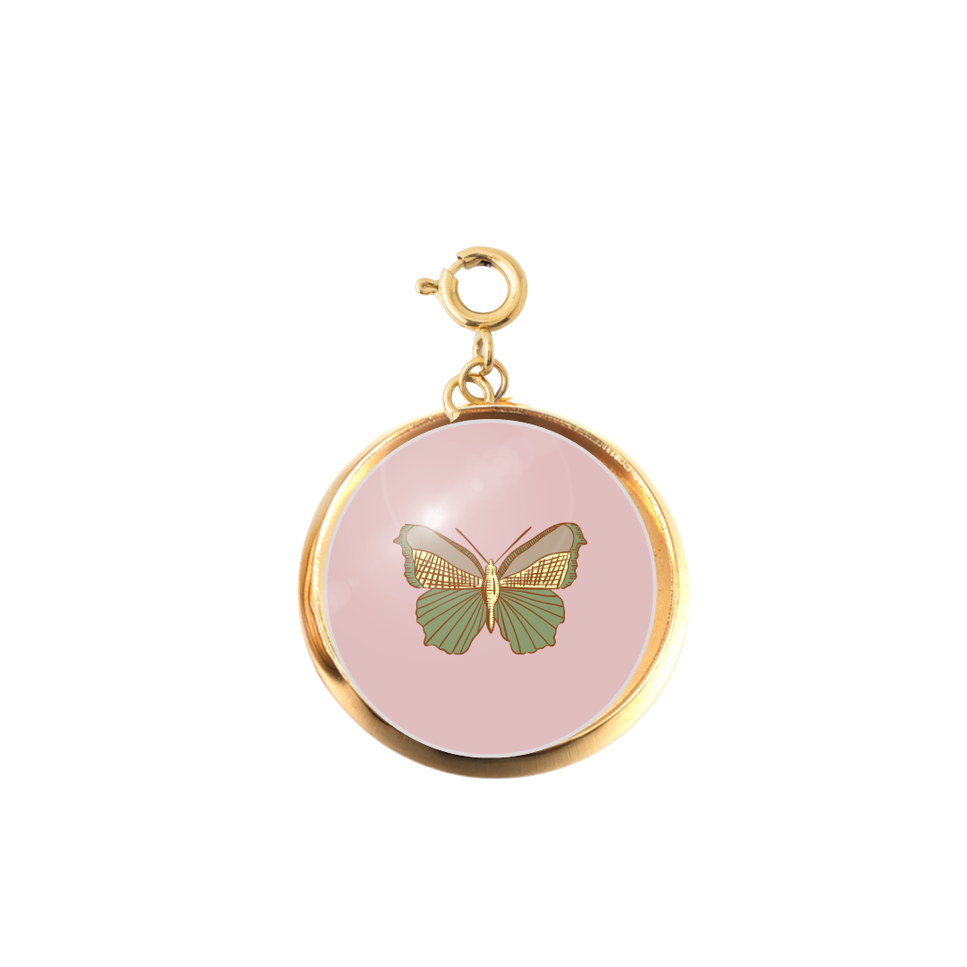 PINK BUTTERFLY PIC