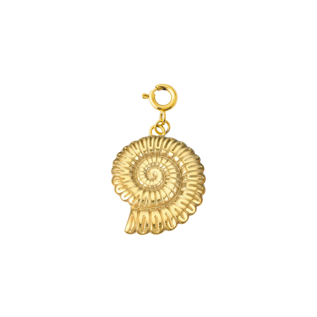 SEASHELL COIL