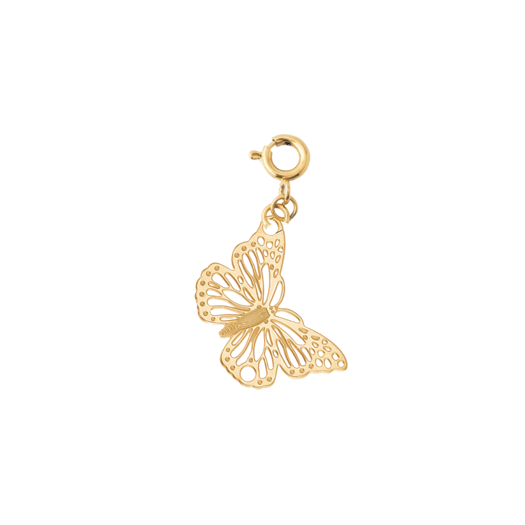 OUR FAV BUTTERFLY