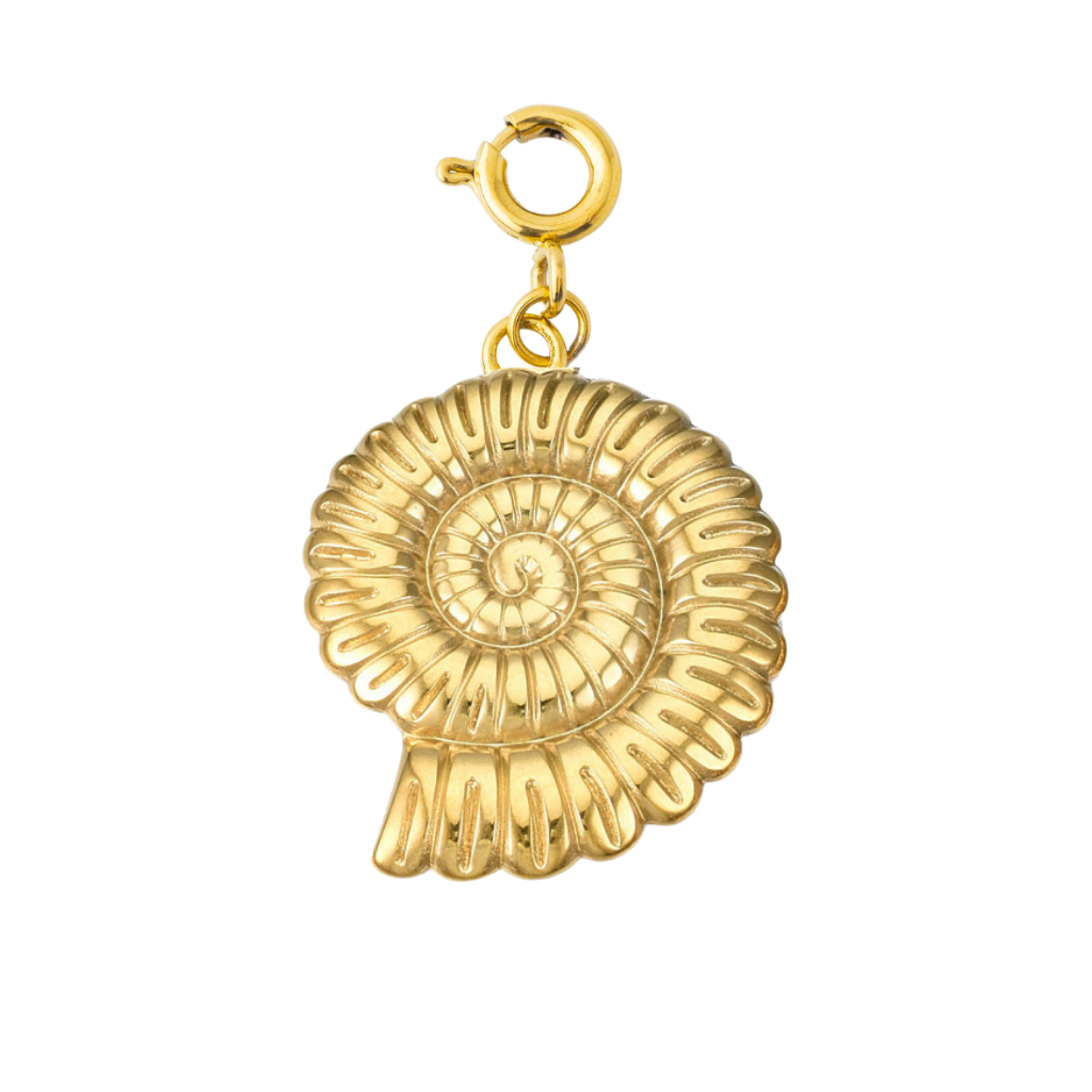 SEASHELL COIL - Lolo's Jewelry